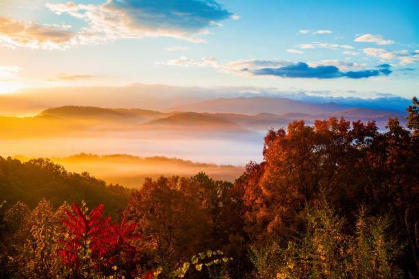Dog Friendly, Quiet Chalet, Hot Tub, Fireplace Sevierville